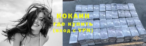 кокс Дмитров