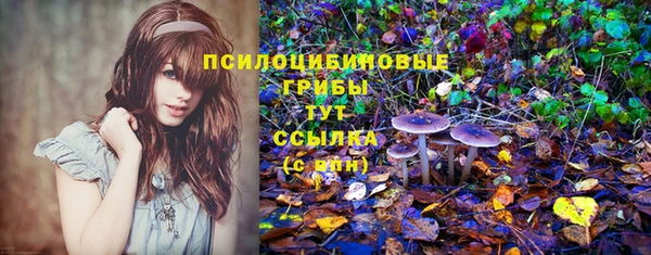 кокс Дмитров