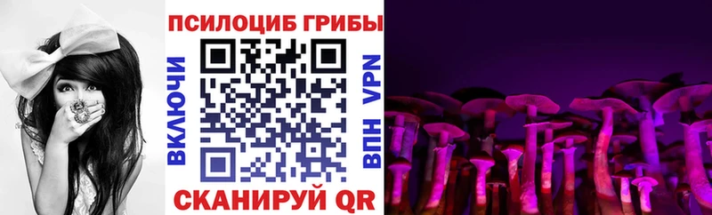 Галлюциногенные грибы MAGIC MUSHROOMS  Купить закладки  Арск 